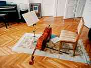 attachments/room_room/164/3_Music_Traveler_164_Vienna_Cello_Piano_a1e7.jpg