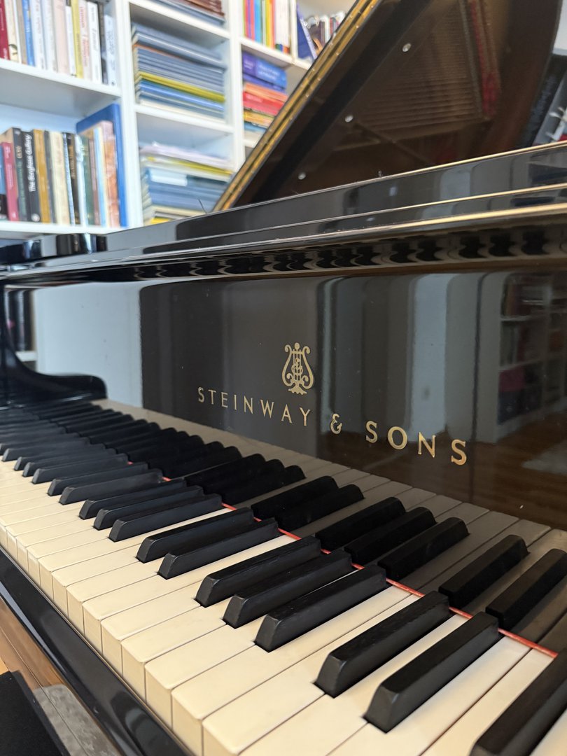 Welcome to Schubert's corner! This beautiful rehearsal studio is located a stone's throw from the place where Franz himself was born (Schubert Geburtshaus( and where he worked with his father (now called Schubert's garage).