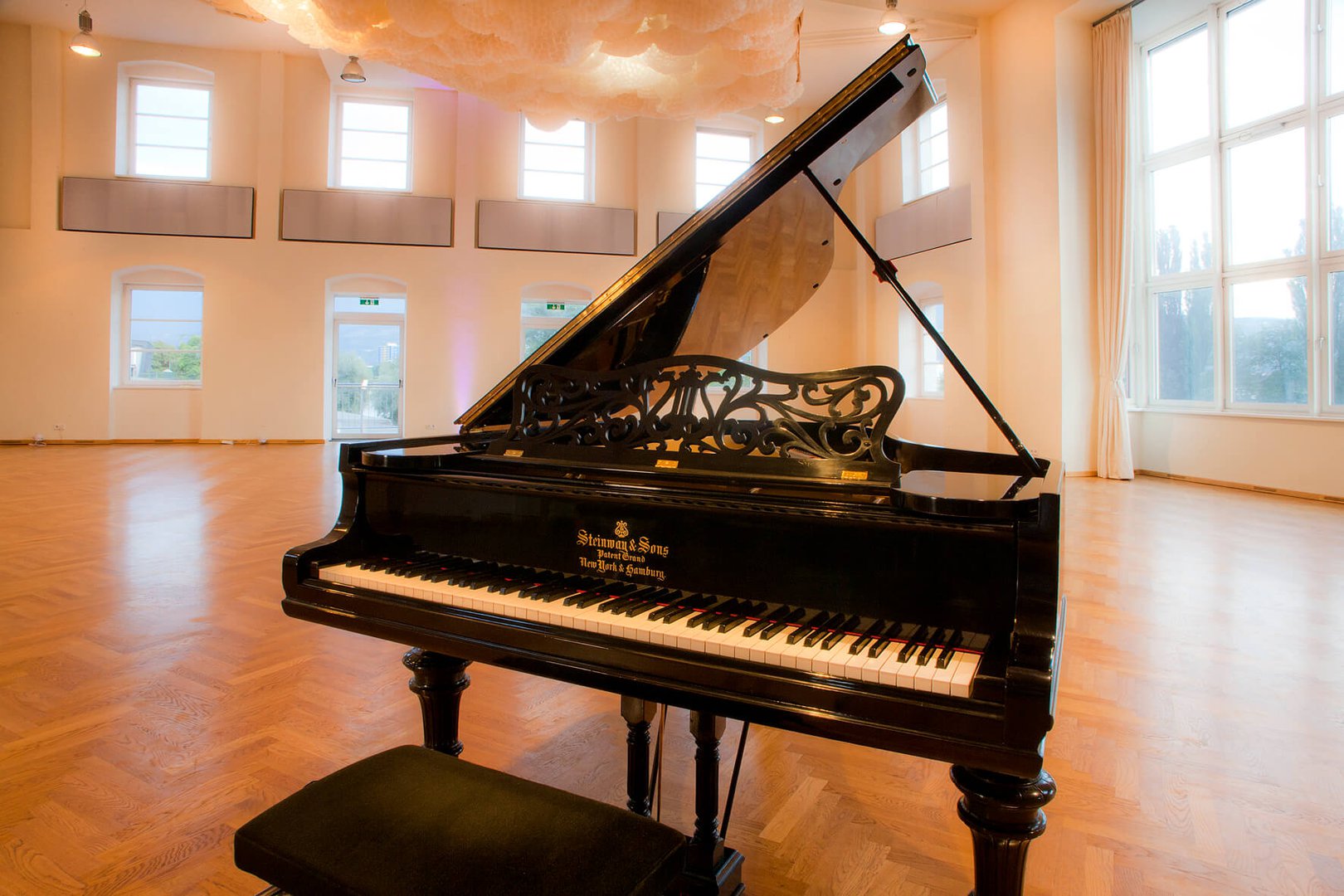 Big Hall With Steinway - Photo 2