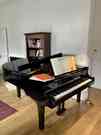 attachments/room_room/3407/IMG_9978_cda0.JPG