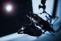 attachments/room_room/4274/011Q7499_28b9.jpg